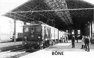 Bone 005